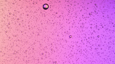 Water drops appears on glass surface on pink background