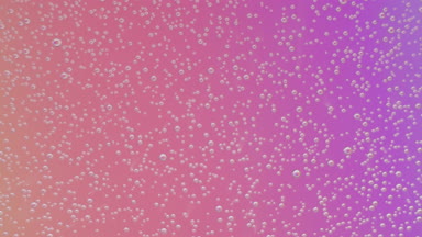 Macro shot of Bubbles appears on pink purple background