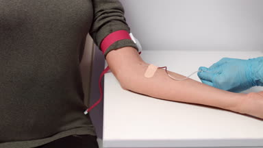 Vein blood sampling procedure