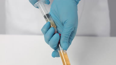 Process of picking up blood plasma from flask in the syringe