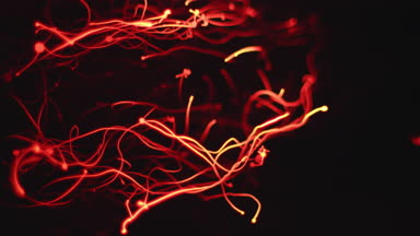 A steel wool locally heated up to red condition #K4HC035