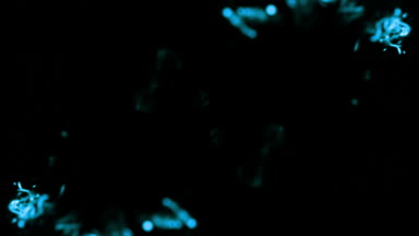 Blue pattern kaleidoscope background video #K4HC027c