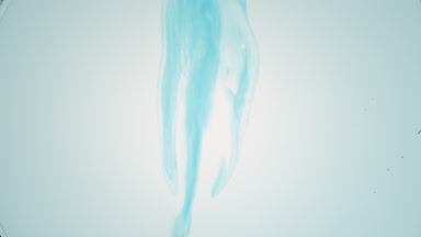 Cyan liquid with grey bubbles is injected into transparent one