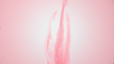 Pink fluid with tiny bubbles is injected into transparent one