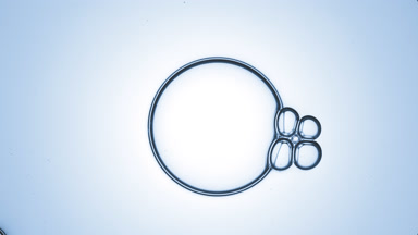 Big clear bubble of glycerin attracts four connected small ones