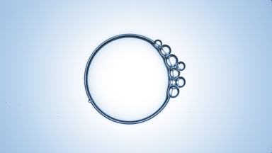 Small bubbles connect to big transparent bubble of glycerin