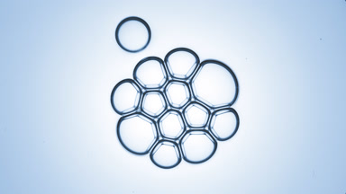 Bubble cluster of small clear bubbles attracts another one