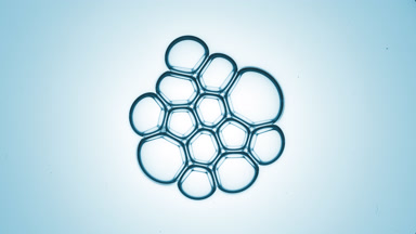 Small bubble joins to bubble cluster of twelve another ones