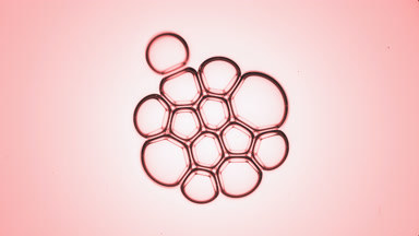 Small round molecule joins to cluster of twelve another ones