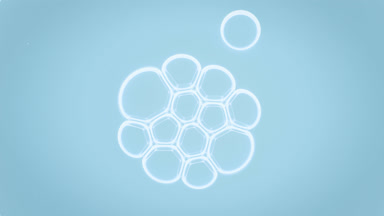 Small white soap bubble joins to bubble cluster of another ones