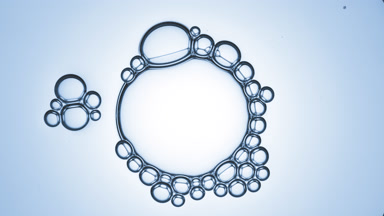 Bubble cluster joins to big transparent bubble with small ones