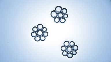 Bubble clusters get close and join each other opposite another