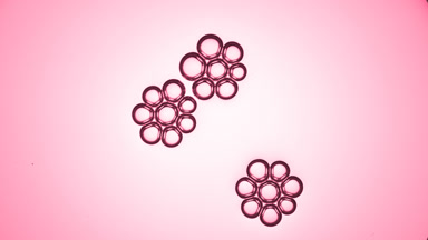 Two bubble clusters slowly get close and join each other