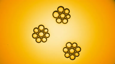 Yellow bubble clusters slowly get close and join each other