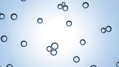 Bubbles of glycerol attract each other creating bubble clusters