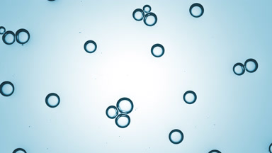 Transparent bubbles attract each other moving spontaneously
