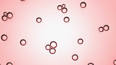 Bubbles of glycerin creating bubble clusters spontaneously