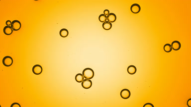 Oil bubbles attract each other moving creating bubble clusters