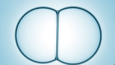 Two big bubbles connect to each other creating a bubble cluster