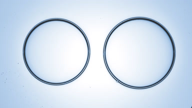 Two big molecules get close and connect to each other