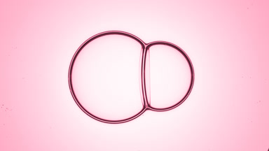 Big bubble and smaller one get close and connect to each other