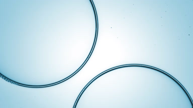 Shot of bubbles connect to each other creating a bubble cluster