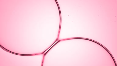 Big pink bubbles connect to each other creating a bubble cluster