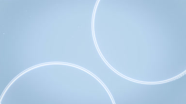Macro shot of two big white bubbles connect to each other