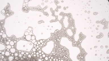 A lot of white different sized bubbles move in grey liquid