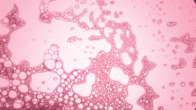 A lot of transparent different sized bubbles move in pink liquid
