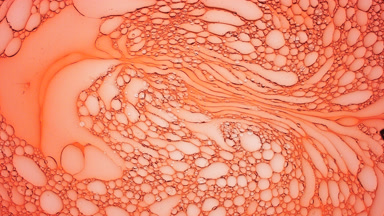 Different sized bubbles move in circles slowly and constantly