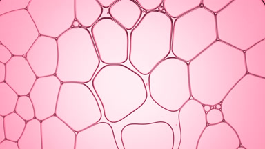 Clear liquid flows between different sized clear bubbles