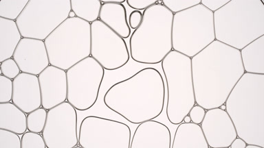 Liquid flows between different sized bubbles making them move