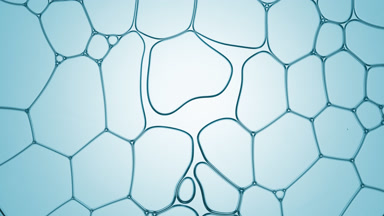 Fluid flows between different sized bubbles making them move