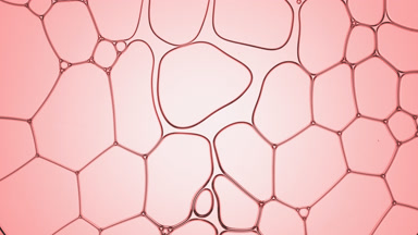 Liquid flows between bubbles disconnecting them for a while