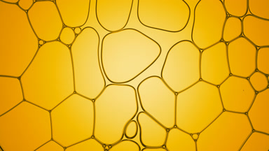 Liquid flows between oily bubbles disconnecting them for a while