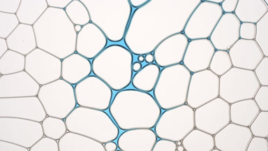 Blue fluid flows between bubbles filling the space among them