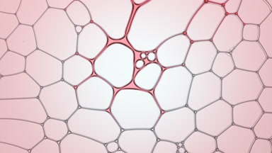 Pink fluid flows between bubbles disconnecting them for a while