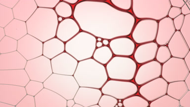 Red liquid flows between pale pink bubbles making them move