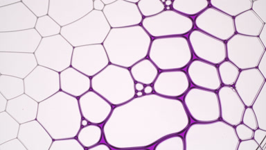 Purple fluid flows between light violet bubbles making them move