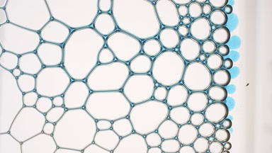 Blue liquid flows between grey bubbles making them move