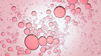 Pink clear bubbles move spontaneously in transparent liquid