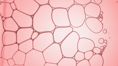 Fluid flows between transparent bubbles and splits one in half