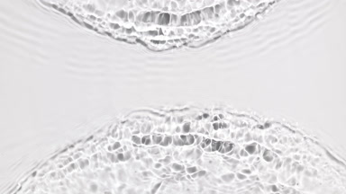 Water waves splashing and crossing on white background