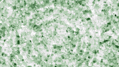 Water drop making rings on water surface over green minerals