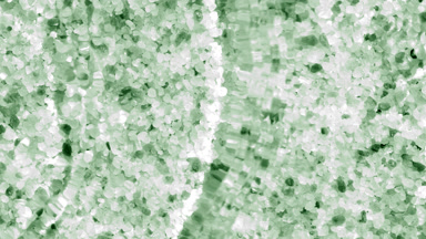 Multiple waves makes ripples on water surface over green mineral