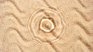 Transparent drop falls down on water surface creating rings