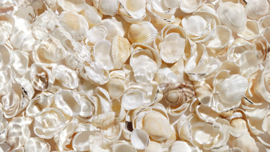 Water waves crossing and splashing over seashells background
