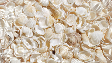 Water waves crossing and splashing over seashells