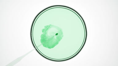 Dropper injects dark green fluid into light grey in Petri dish